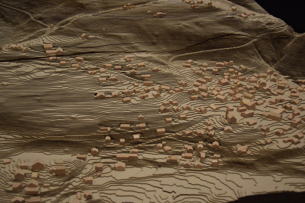 DSC_2085a - Kopie.jpg