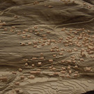 DSC_2085a - Kopie.jpg