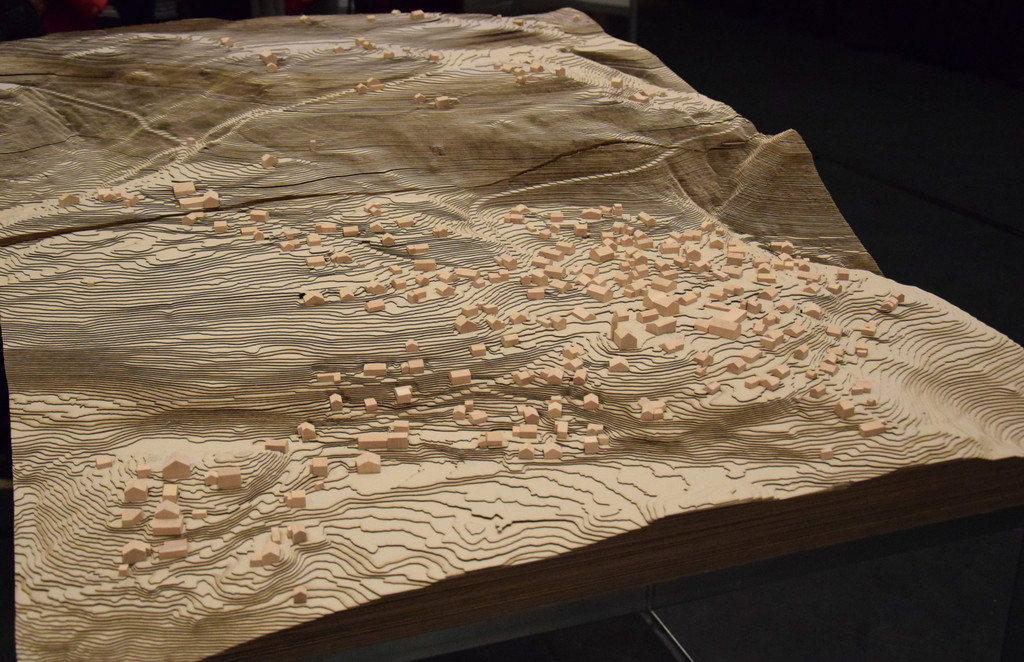 DSC_2086a - Kopie.jpg