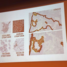 DSC_2096a - Kopie.jpg