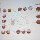 DSC_2097a - Kopie.jpg