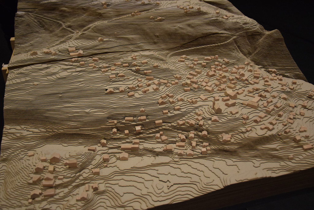 DSC_2108a - Kopie.jpg