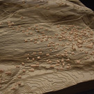 DSC_2108a - Kopie.jpg