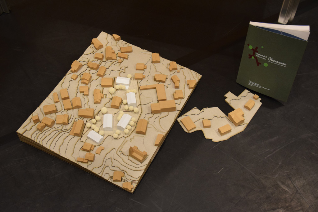 DSC_2110a - Kopie.jpg