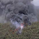 Australia_Wildfires_09418.jpg