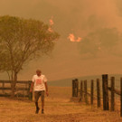 AFP_1M93V7.jpg