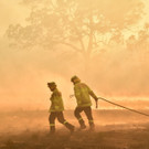 AFP_1M72UY.jpg