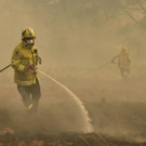 AFP_1M72US.jpg