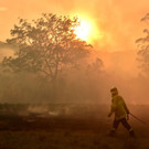 AFP_1M730C.jpg
