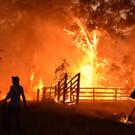 AFP_1M72I2.jpg
