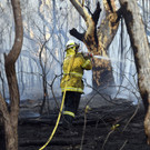 AFP_1M72AP.jpg