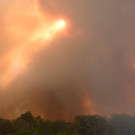 AFP_1M71CG.jpg