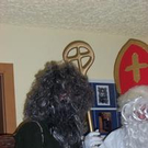 458594.jpg