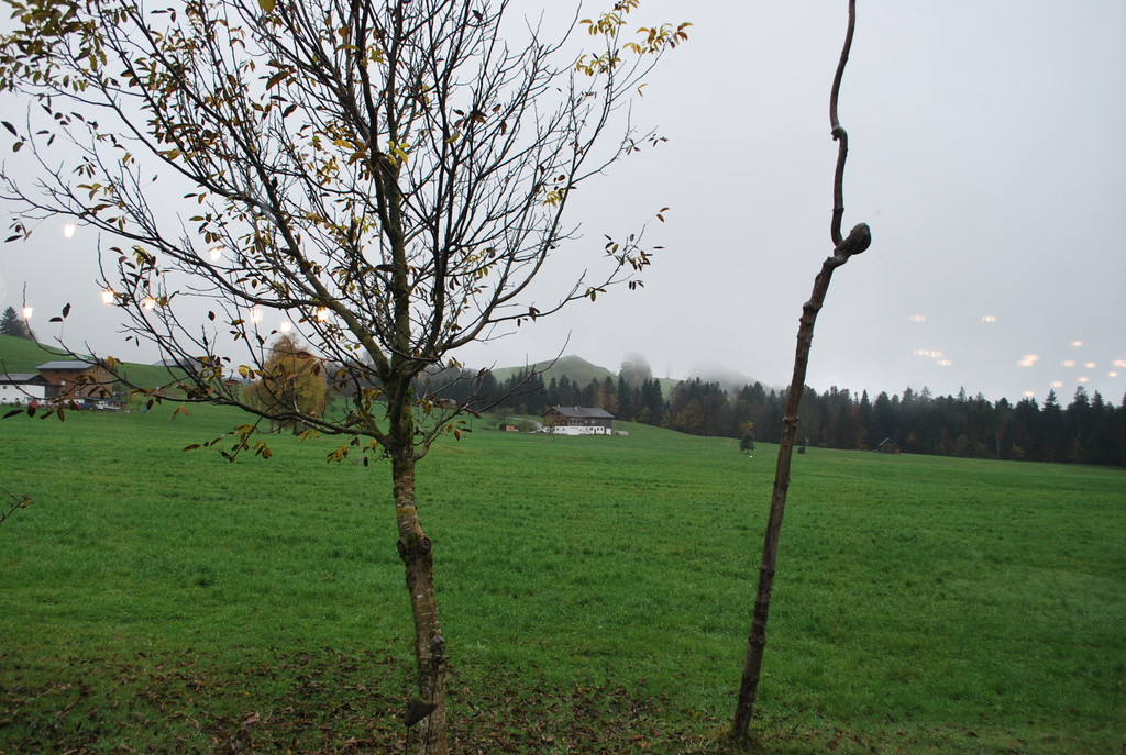 DSC_1973.JPG
