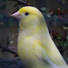 IMG_0127_jiw.jpg