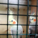 IMG_0128_jiw.jpg