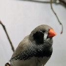 IMG_0132_jiw.jpg