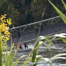 AFP_1MD1B3.jpg
