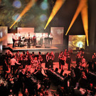 IMG_8181.JPG