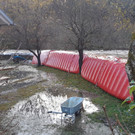 ABD0137-20191118.jpg