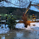 ABD0018-20191118.jpg