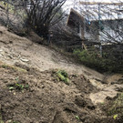 ABD0080-20191117.jpg