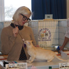 Bild 3.jpg