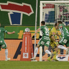 Rapid gegen Sturm Graz - Remise- 24.11.