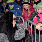Krampusshow Braz 2019 _25_.jpg