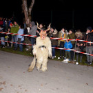 Krampusshow Braz 2019 _85_.jpg