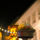IMG_8361.JPG