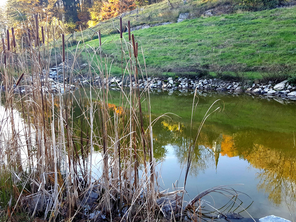 20191113_192651_bearbeitet-1.jpg