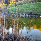 20191113_192651_bearbeitet-1.jpg