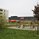 IMG_8423.JPG