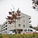 IMG_8444.JPG
