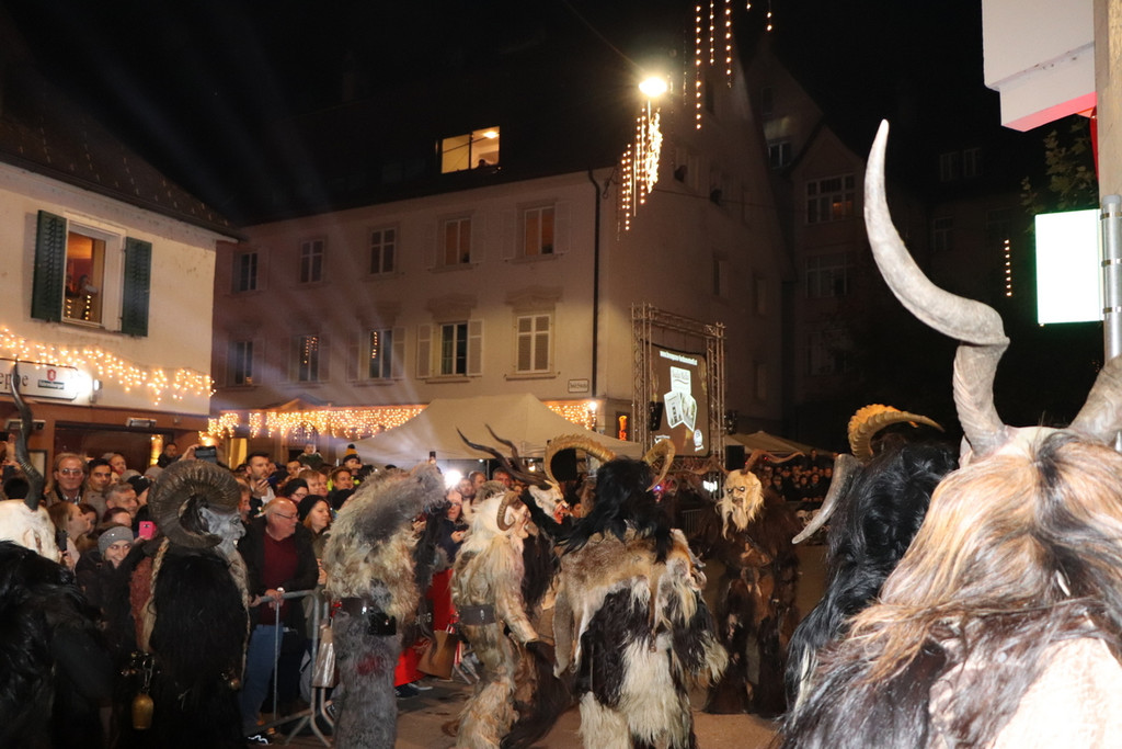 Krampuslauf 2019_MB _48_.JPG