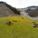 foto-lerch-271119001-4.jpg