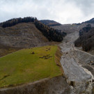 foto-lerch-271119001-2.jpg