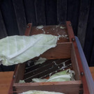 IMG-20191121-WA0007.jpg