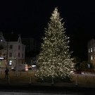 IMG_7355.JPG