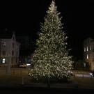 IMG_7378.JPG
