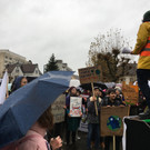 FridaysForFuture in Bregenz