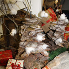 04 IMG_5587.JPG