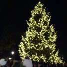 Licht1c.jpg