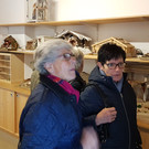 Frauenbewegung Götzis besucht das Krippenmuseum in Dornbirn