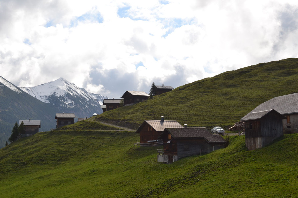 DSC_0205.JPG