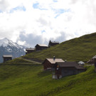 DSC_0205.JPG