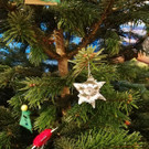 IMG-20191130-WA0002.jpg