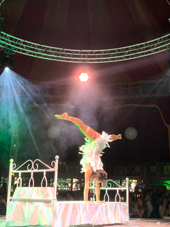 Dinnershow Premiere4.jpeg