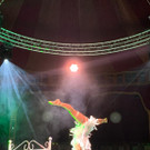 Dinnershow Premiere4.jpeg